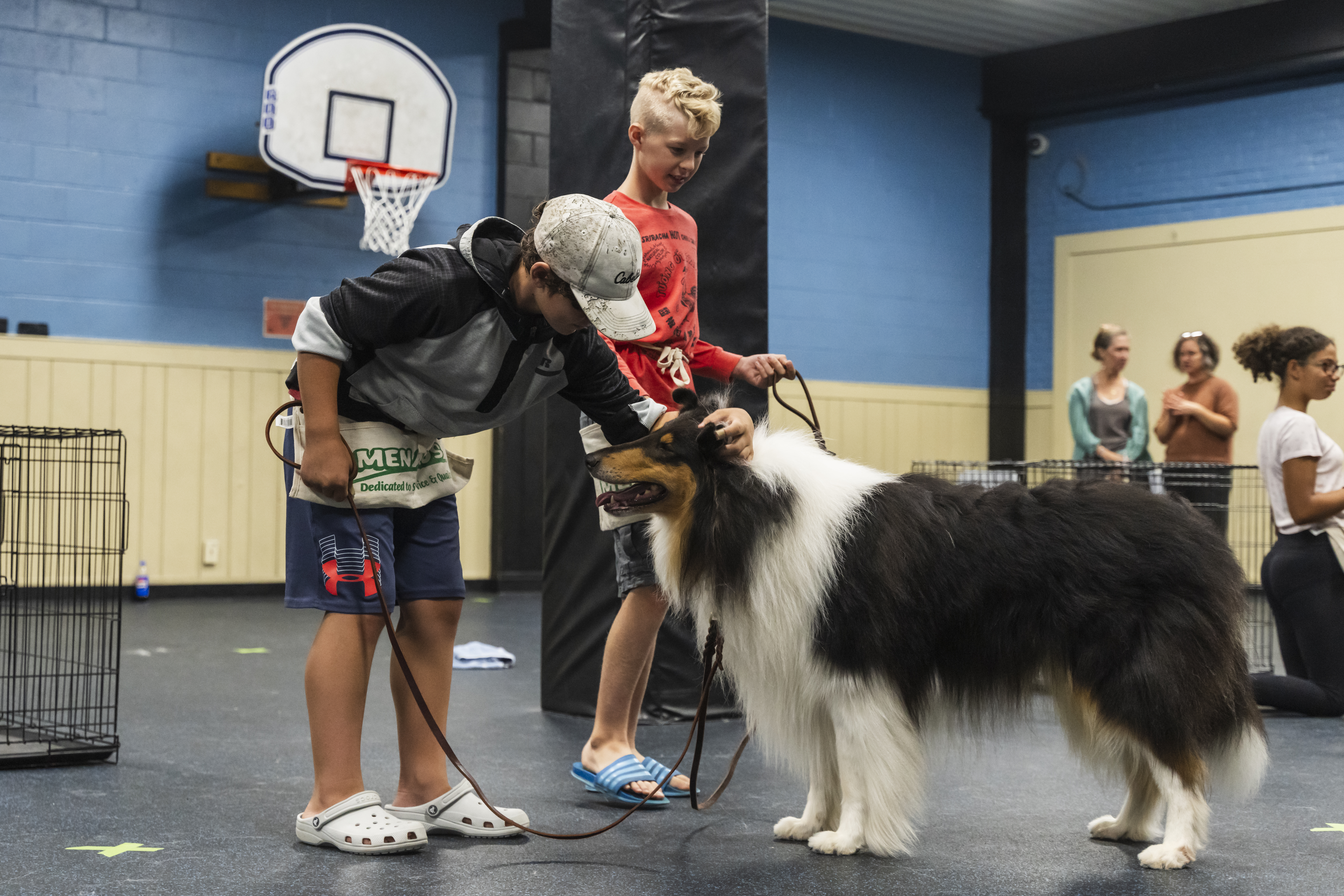 Students at the Troy Rec participating in the Collie-Assisted Social Emotional Youth Program Image 1