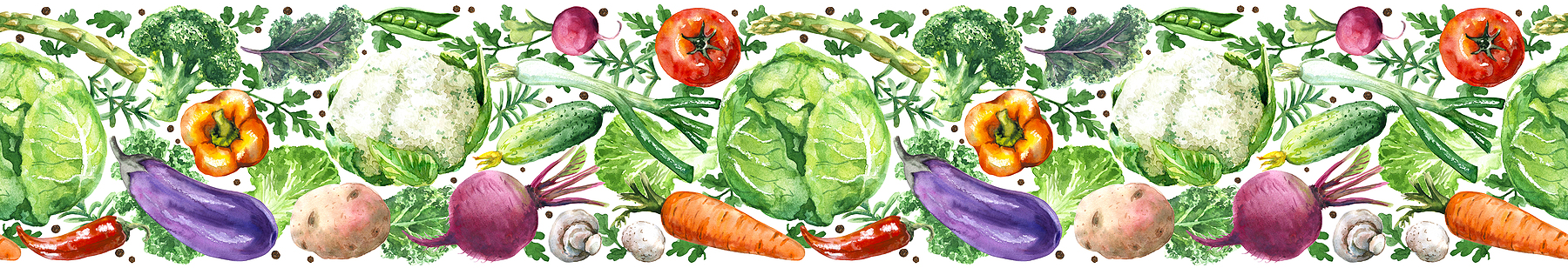 Hand drawn raw food illustration. Horizontal seamless pattern made with watercolor vegetables.